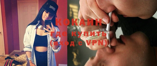 индика Алексин