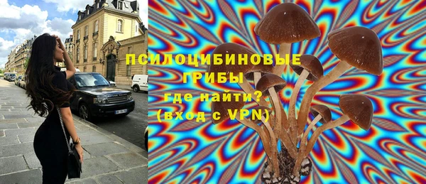 индика Алексин