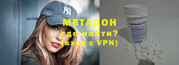 индика Алексин