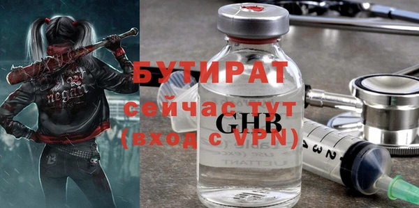 индика Алексин