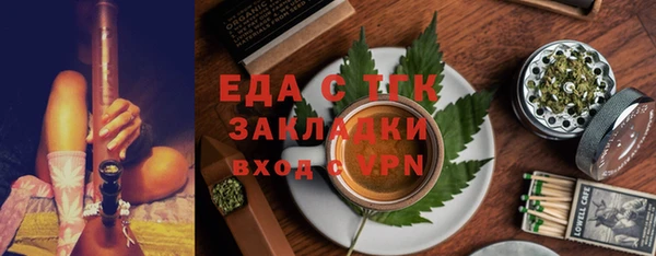 индика Алексин