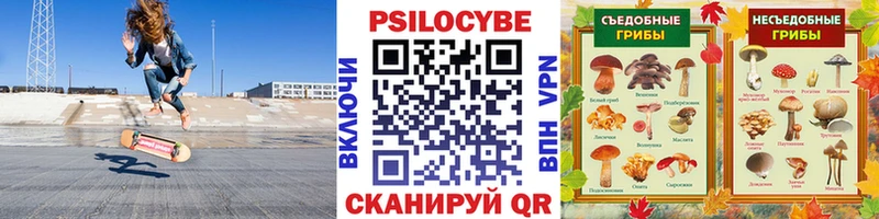 Псилоцибиновые грибы ЛСД  Лукоянов 